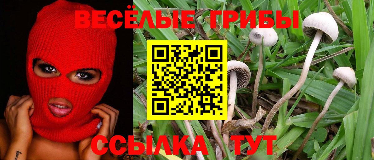 Псилоцибиновые грибы Magic Shrooms  Вход с VPN  Азов  Псилоцибиновые грибы MAGIC MUSHROOMS 