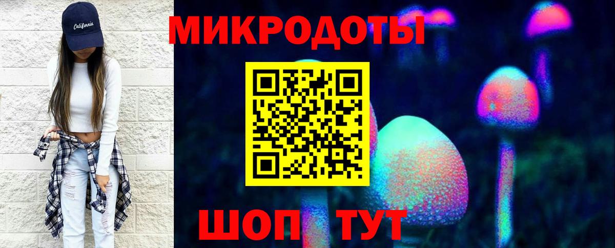 Псилоцибиновые грибы Psilocybe Азов